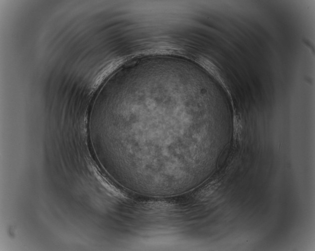 X0000103240389200809111602