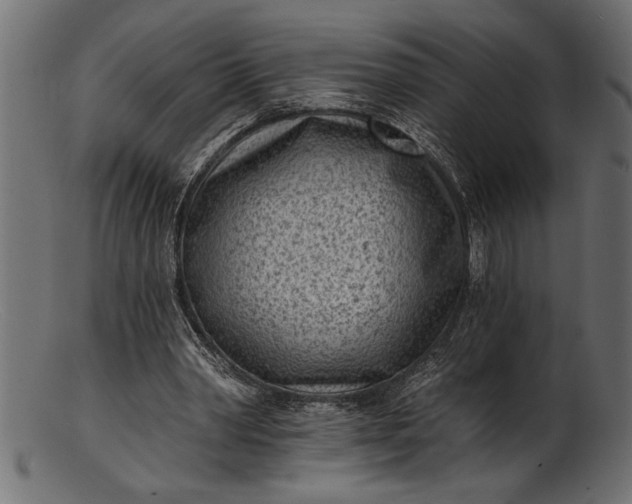 X0000103240390200809111602