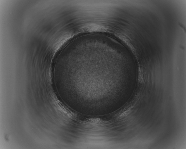 X0000103240391200809111602