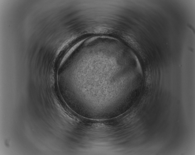 X0000103240392200809111602