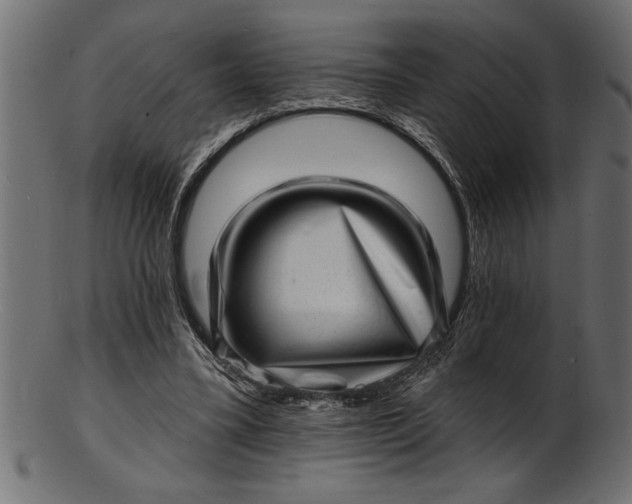 X0000103240395200809111602