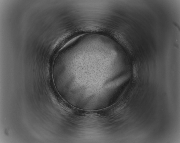 X0000103240396200809111602