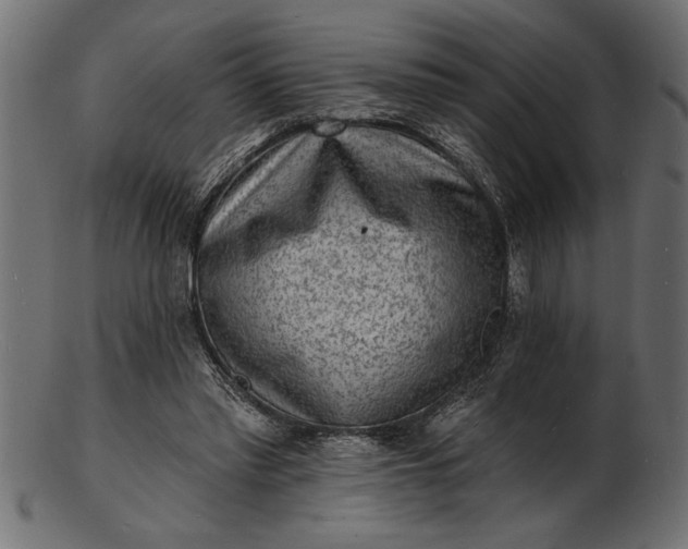 X0000103240397200809111602