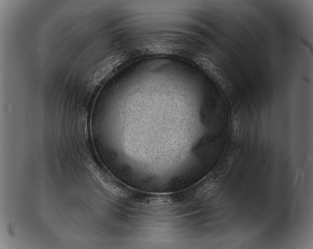 X0000103240398200809111602