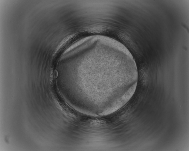 X0000103240400200809111601