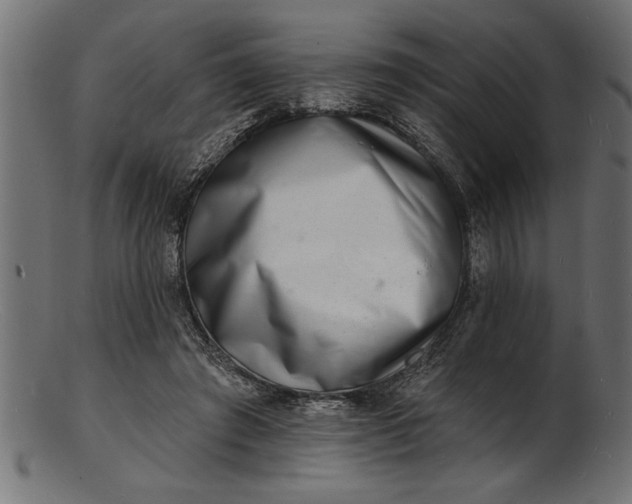 X0000103240401200809111601