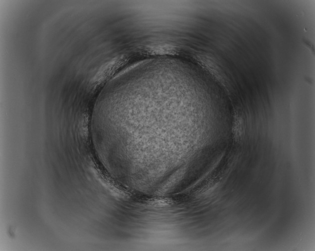 X0000103240402200809111601