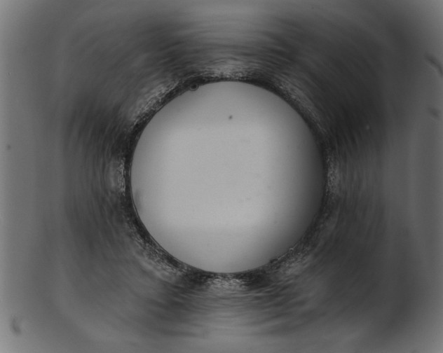 X0000103240403200809111601