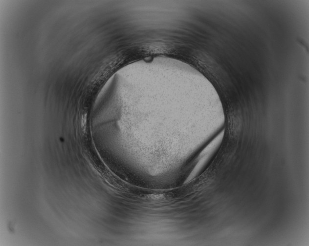 X0000103240406200809111601