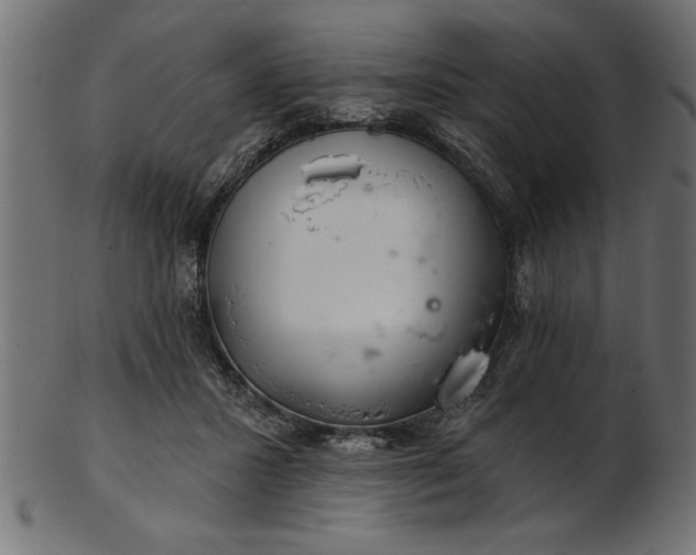 X0000103240407200809111601