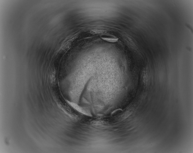 X0000103240408200809111601