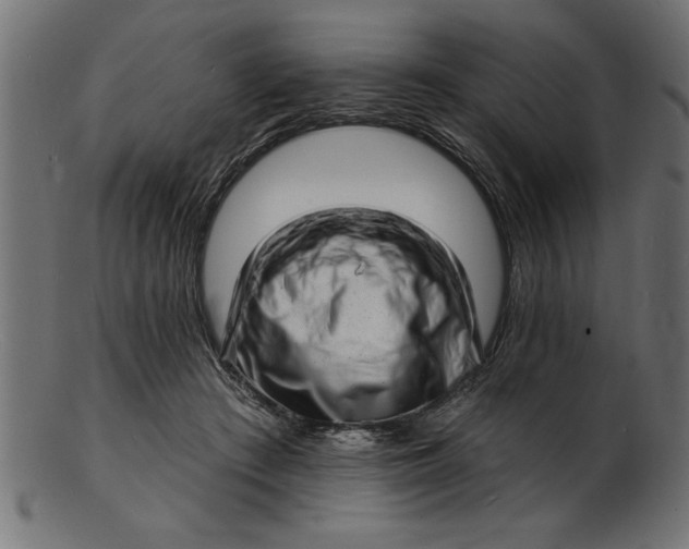 X0000103240409200809111601