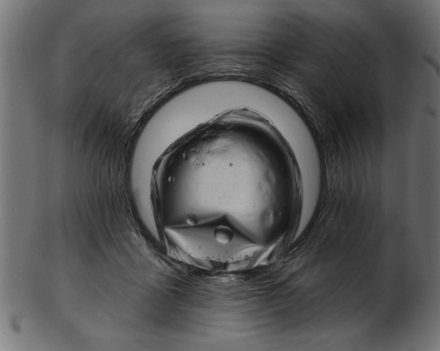 X0000103240411200809111601