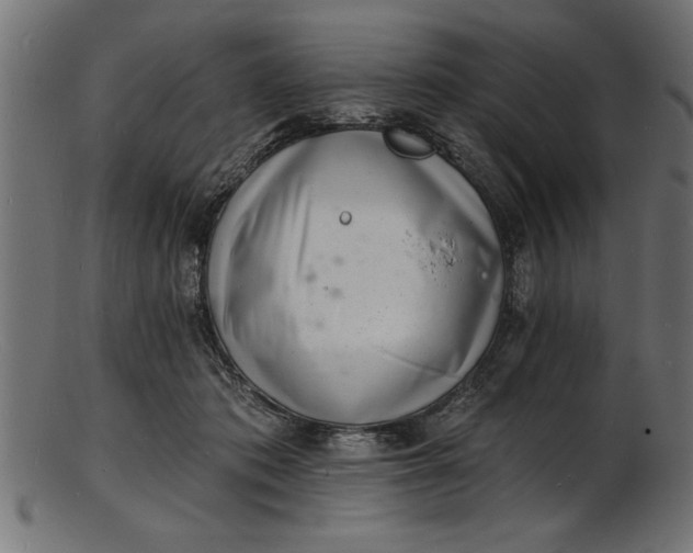 X0000103240413200809111601