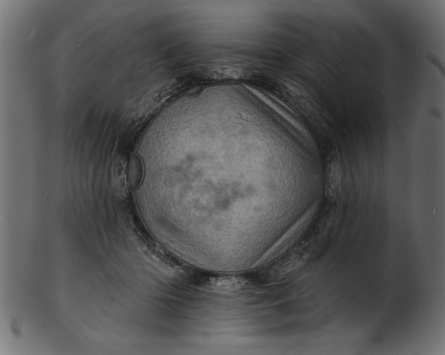 X0000103240414200809111601