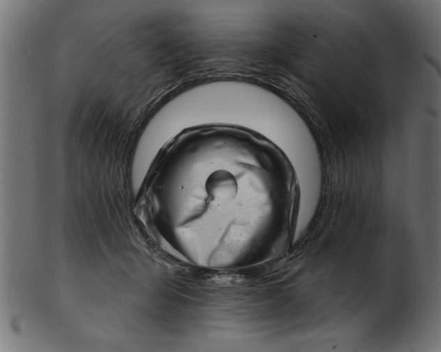 X0000103240415200809111601