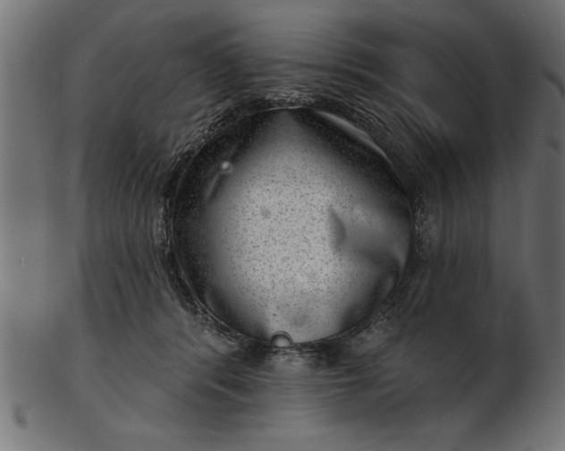 X0000103240416200809111601