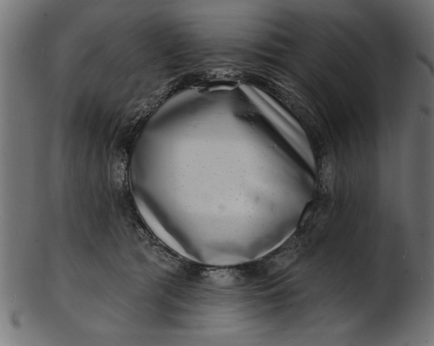 X0000103240417200809111601