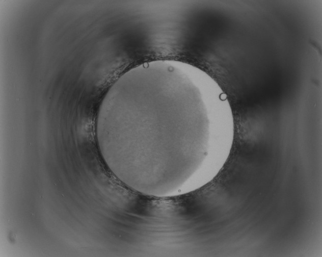 X0000103240419200809111601