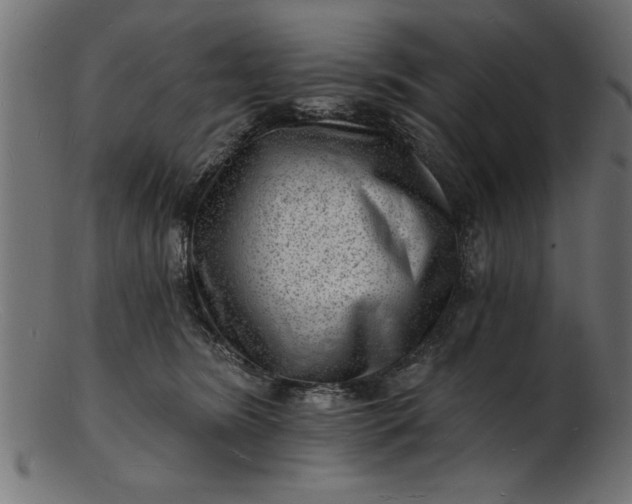 X0000103240420200809111601