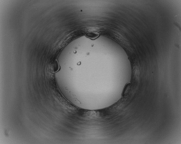 X0000103240421200809111601