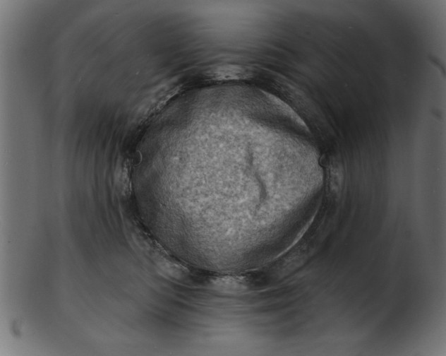 X0000103240422200809111601