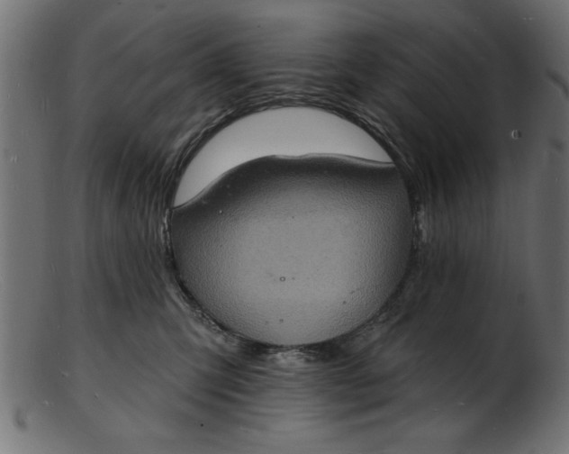 X0000103240423200809111601