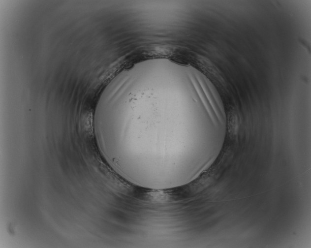 X0000103240425200809111601