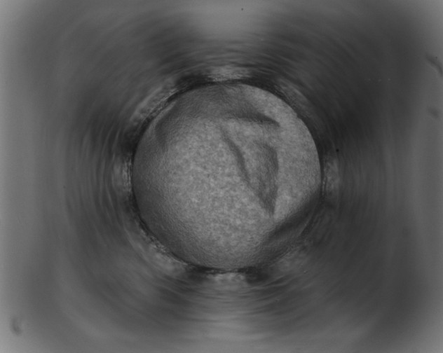 X0000103240426200809111601