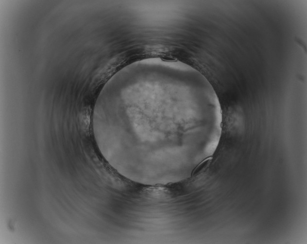 X0000103240427200809111601