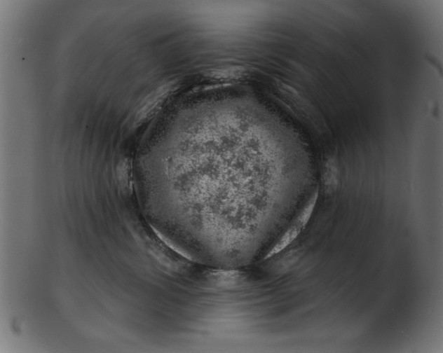 X0000103240428200809111601