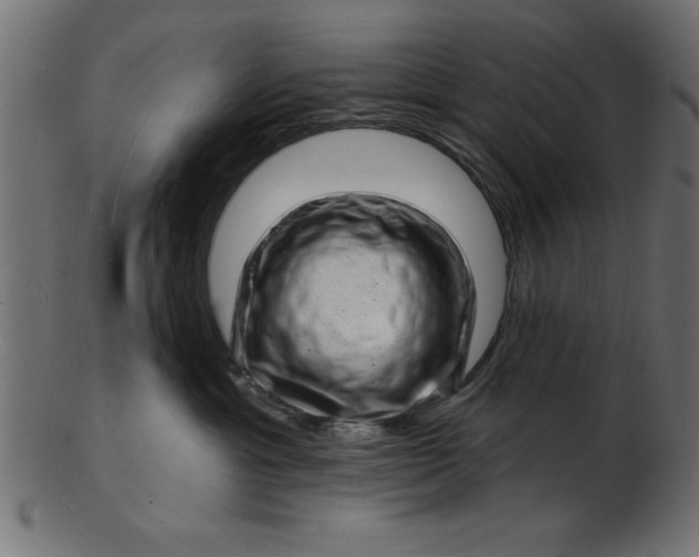 X0000103240429200809111601