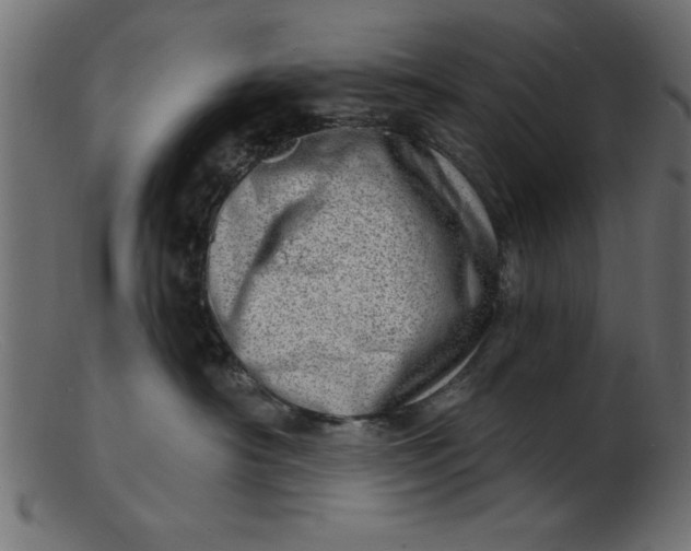 X0000103240430200809111601