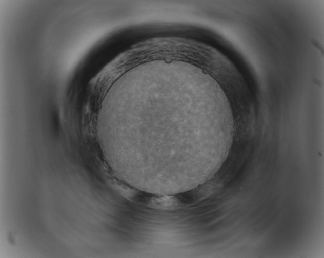 X0000103240431200809111601