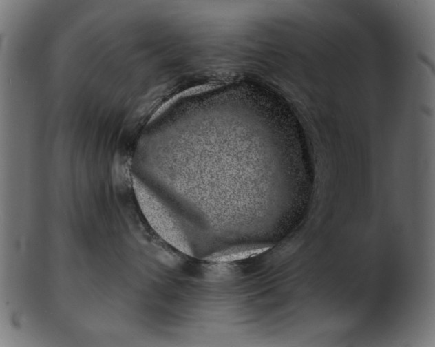 X0000103240432200809111601