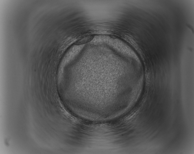 X0000103240433200809111600