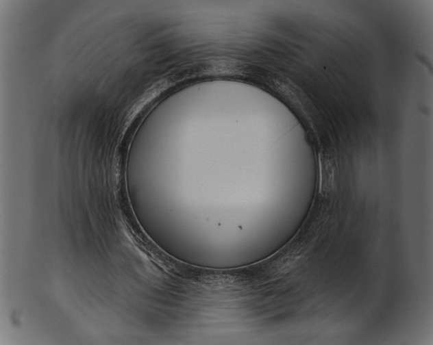 X0000103240435200809111600