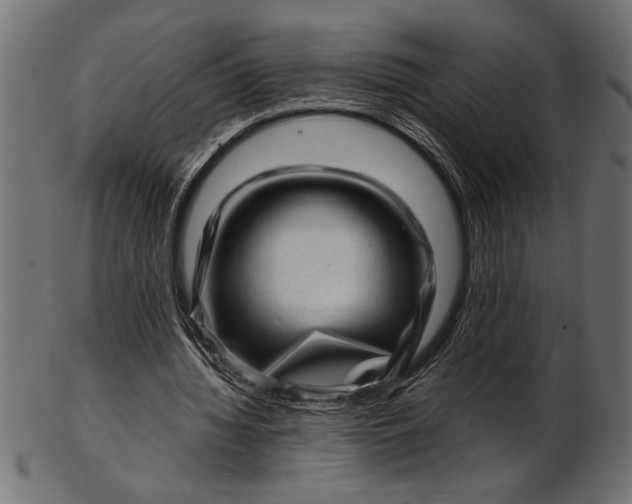 X0000103240436200809111600