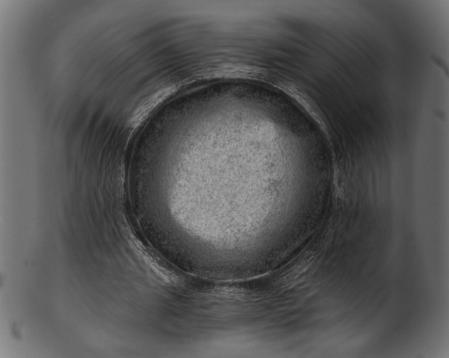 X0000103240437200809111600