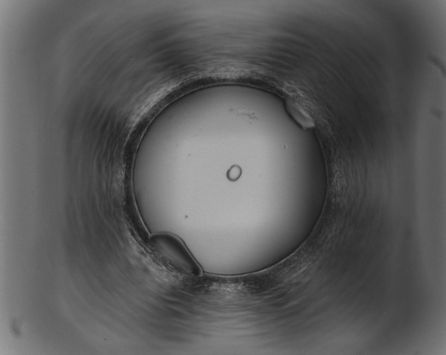 X0000103240440200809111600