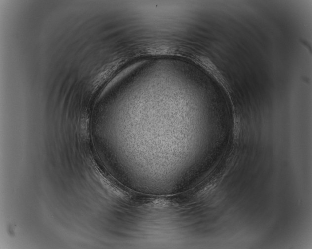 X0000103240441200809111600