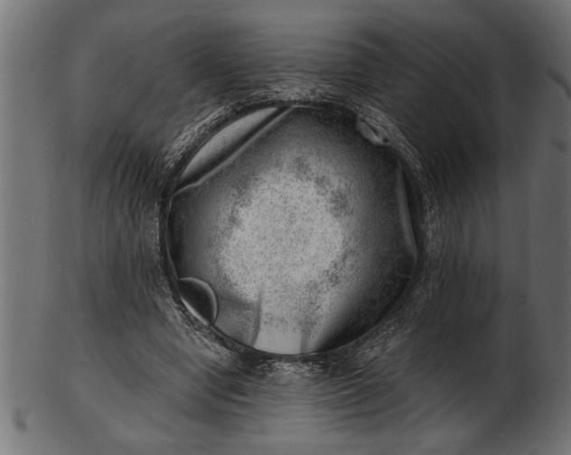 X0000103240442200809111600