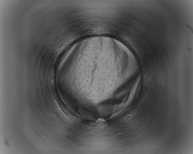 X0000103240443200809111600