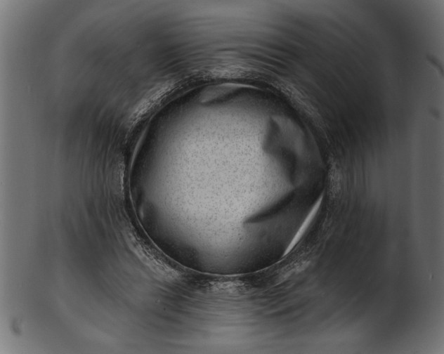 X0000103240446200809111600