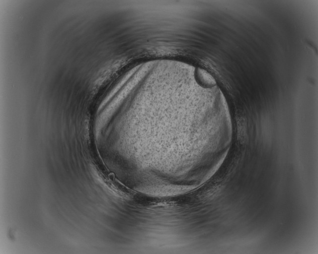 X0000103240447200809111600