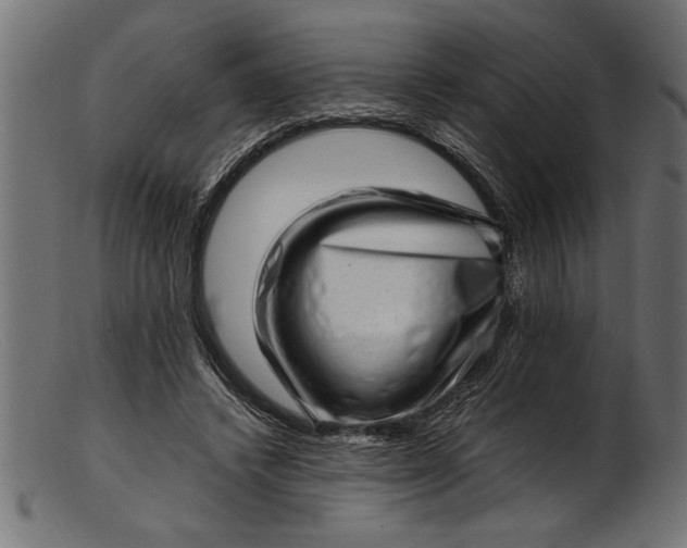 X0000103240448200809111600