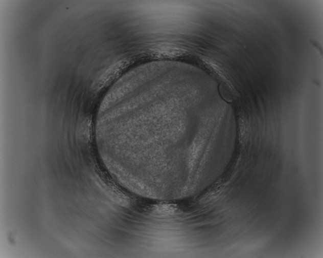 X0000103240451200809111601