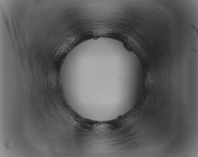 X0000103240452200809111601