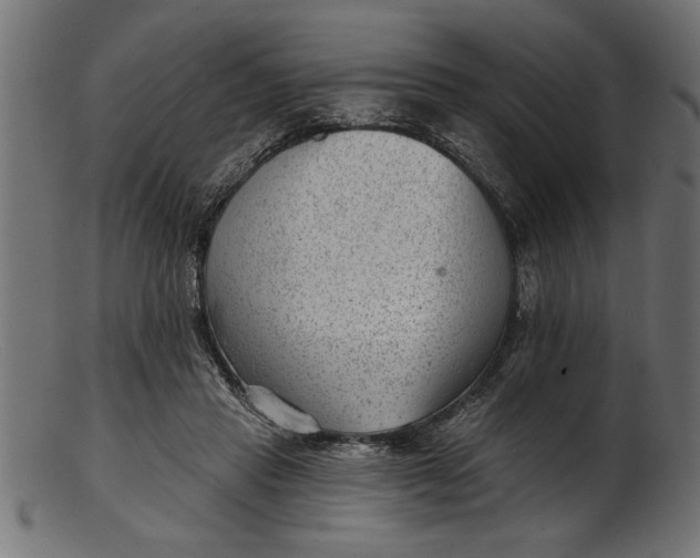 X0000103240453200809111601