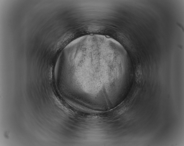 X0000103240454200809111601